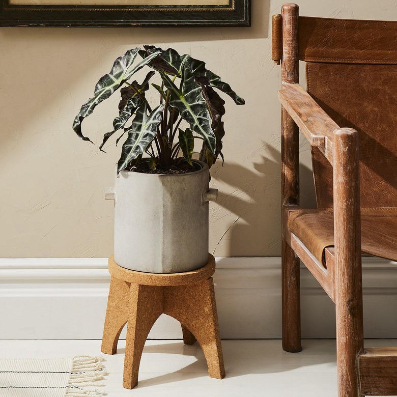 cork plant stand
