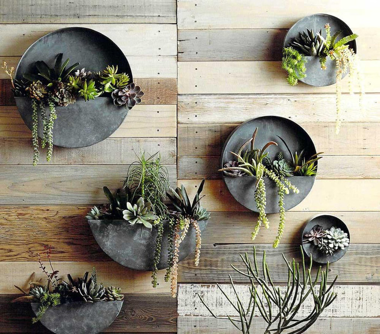 wall planters