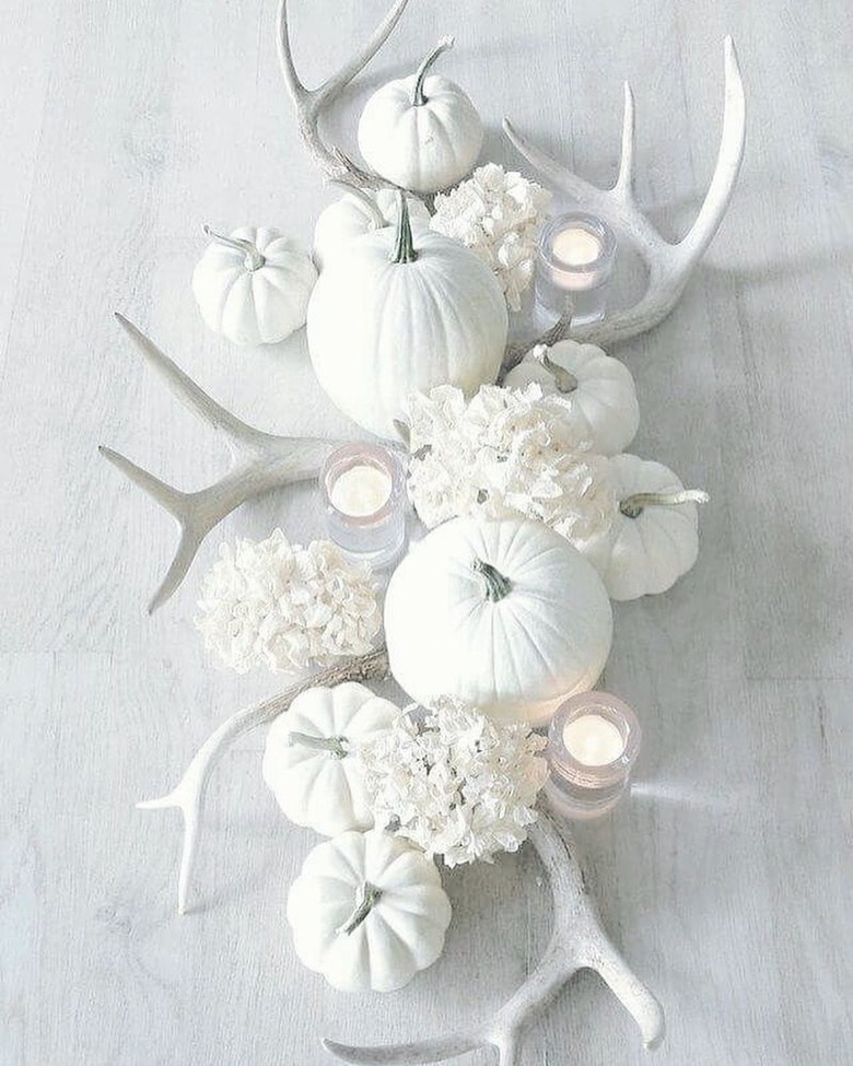 Spread with white pumpkins