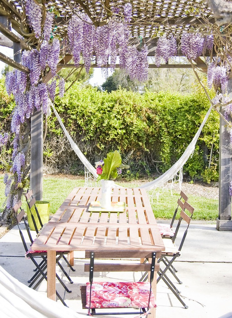 wisteria covered trellis over patio