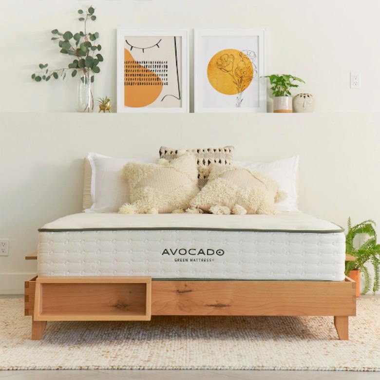 Avocado Queen City Bed Frame