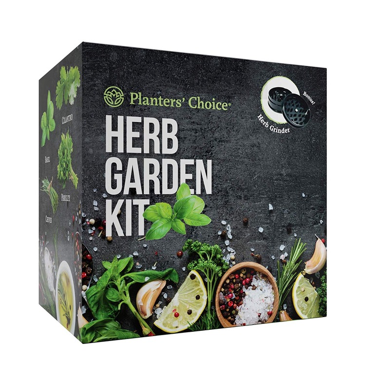 herb garden kit
