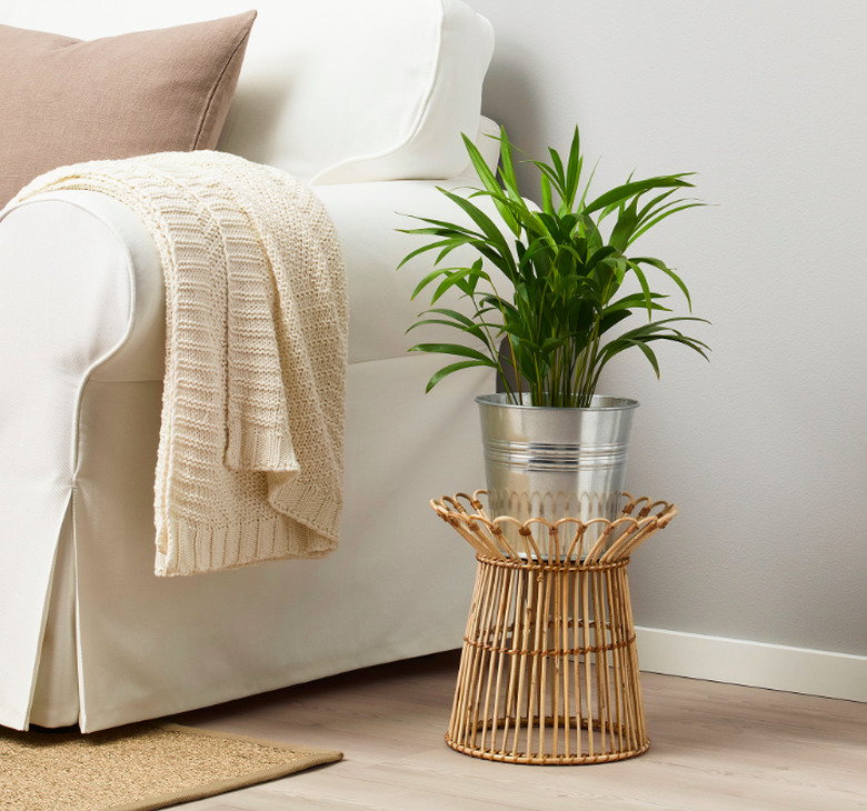 Kanelstång Plant Stand