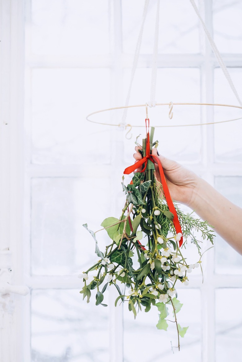 a bunch of mistletoe is hung from a rack to dry