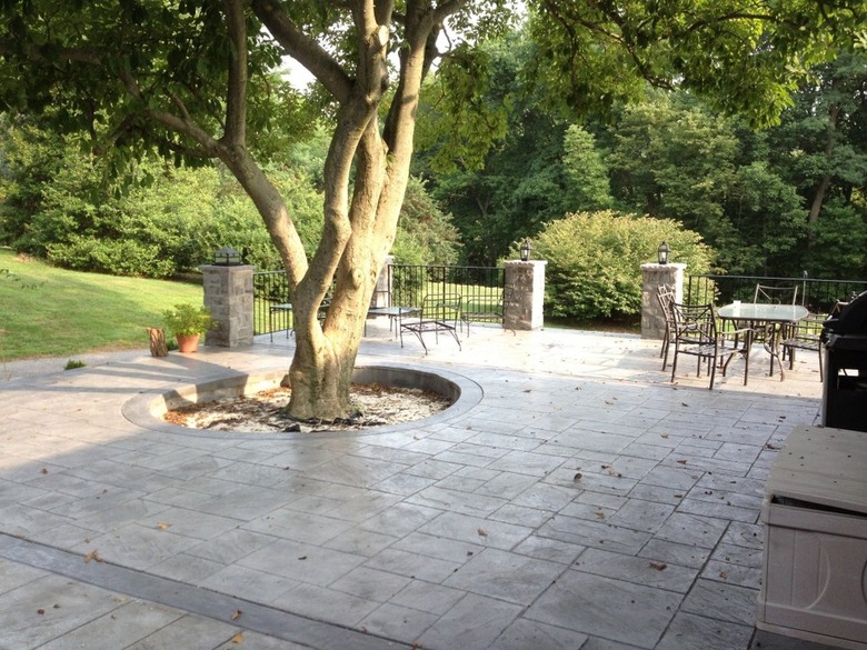 A concrete patio with a circular cutout for a tree