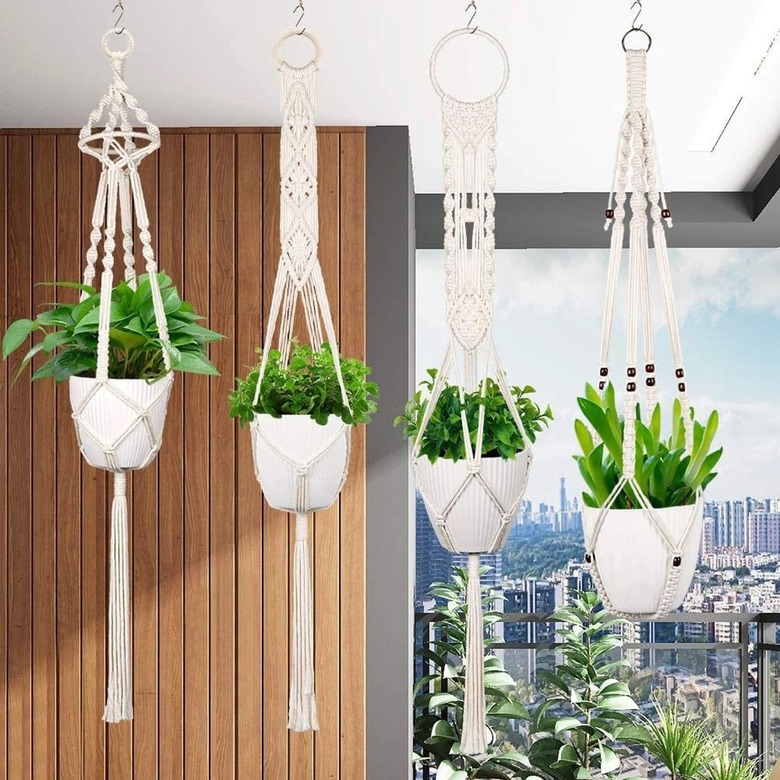 hanging plants