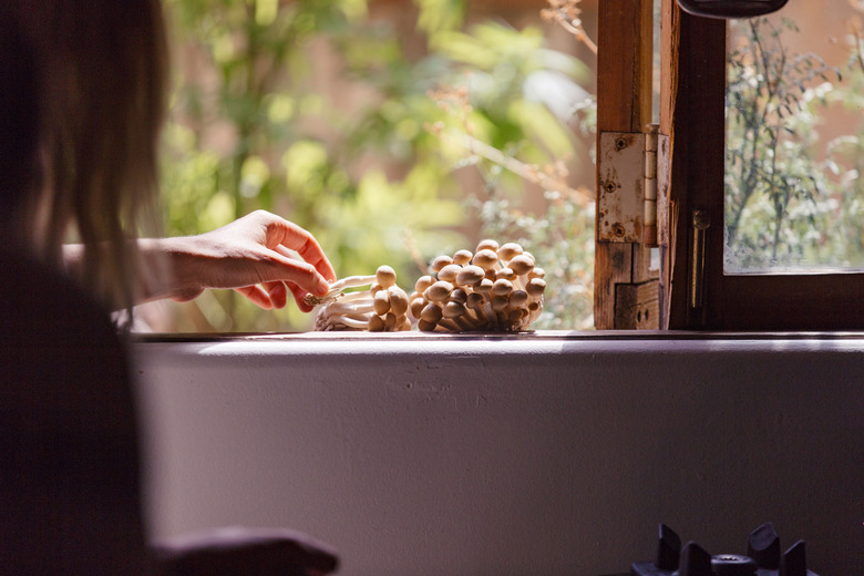 Shot of Colleen in the kitchen choosing fresh mushrooms from the garden