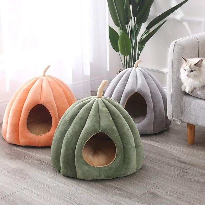 My Vin Chester Pumpkin Pet Bed