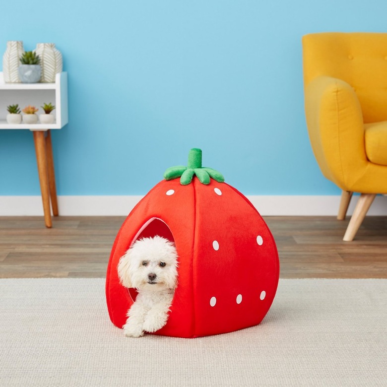 YML Strawberry Covered Cat and Dog Bed