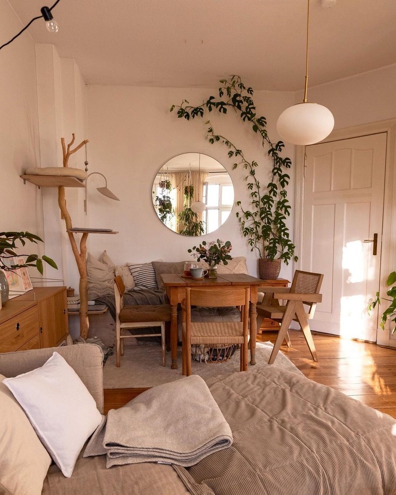 room with tall vining plant stretching up and around the wall