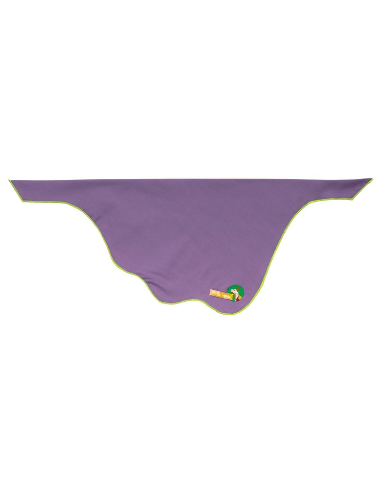 A purple dog bandana with green edging.