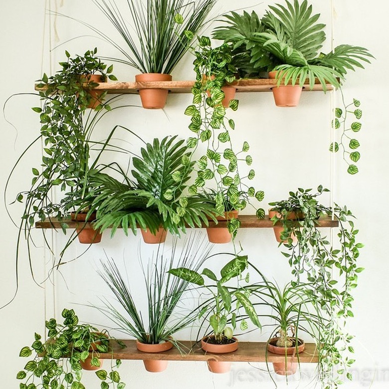 vertical garden on an interior wall