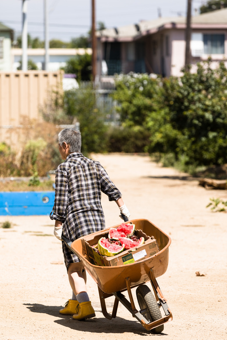 Worker at the Fremont Community Garden