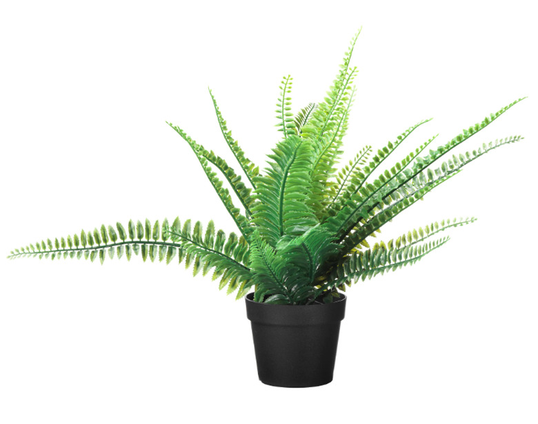 Faux Fern