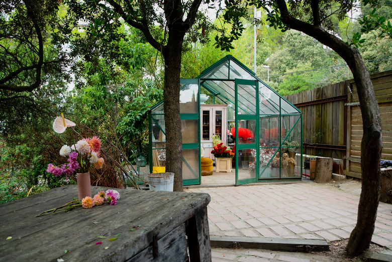 Greenhouse exterior surrounded by trees
