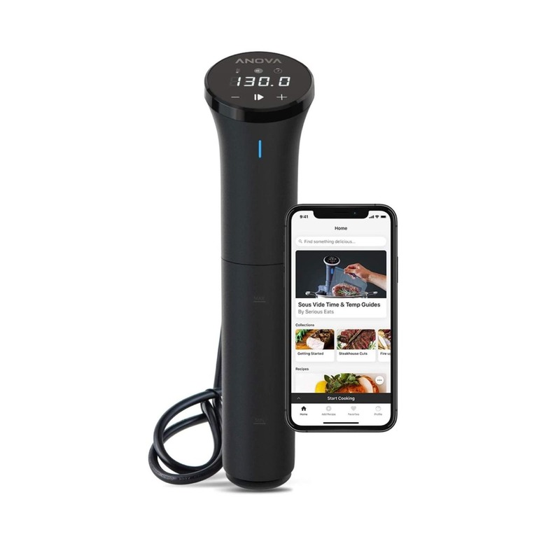 Anova Culinary Nano Sous Vide Precision Cooker