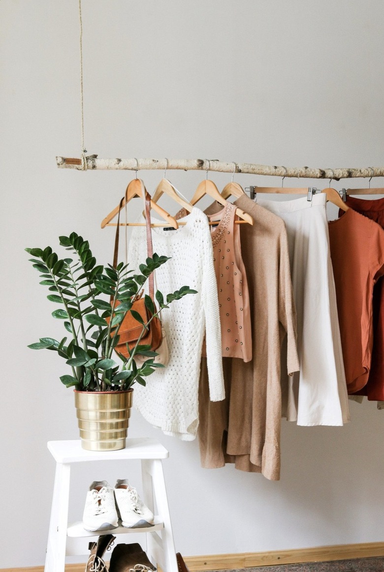 Hanging Birch Branch Clothing Rack