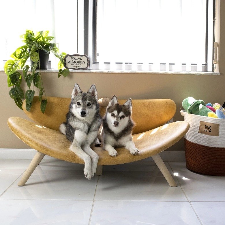 Tucker Murphy Pet Piper Pet Sofa