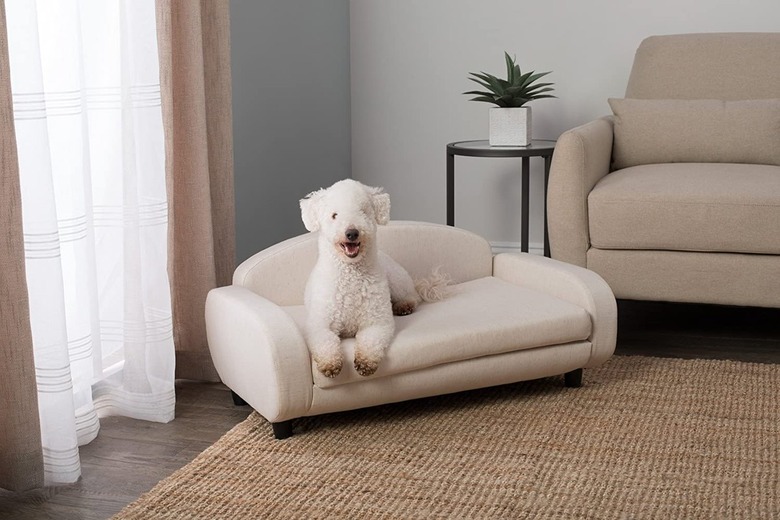 Paws & Purrs Modern Pet Sofa