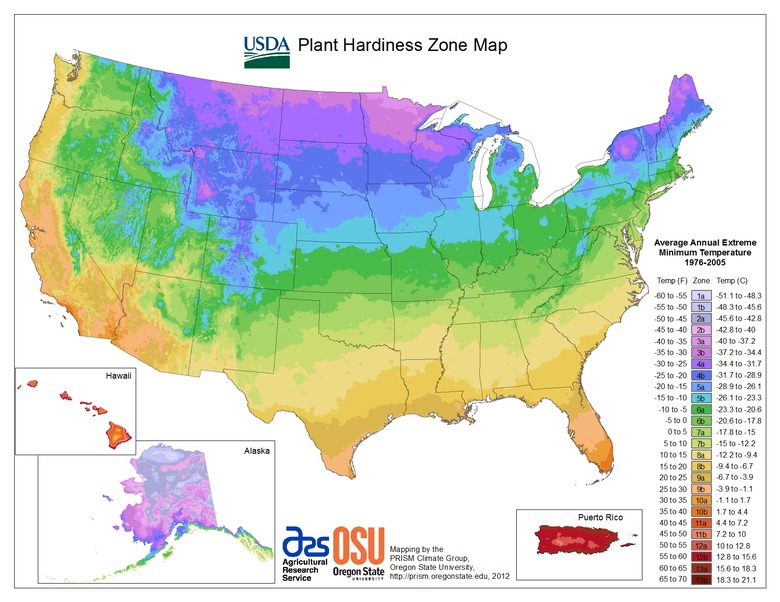 plant hardiness map