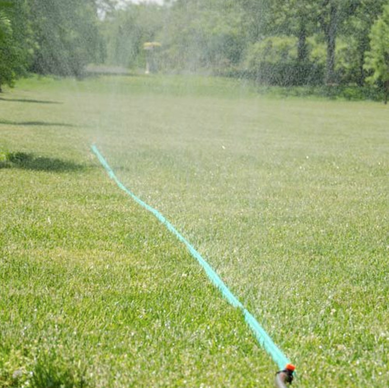 Sprinkler hose in operation.