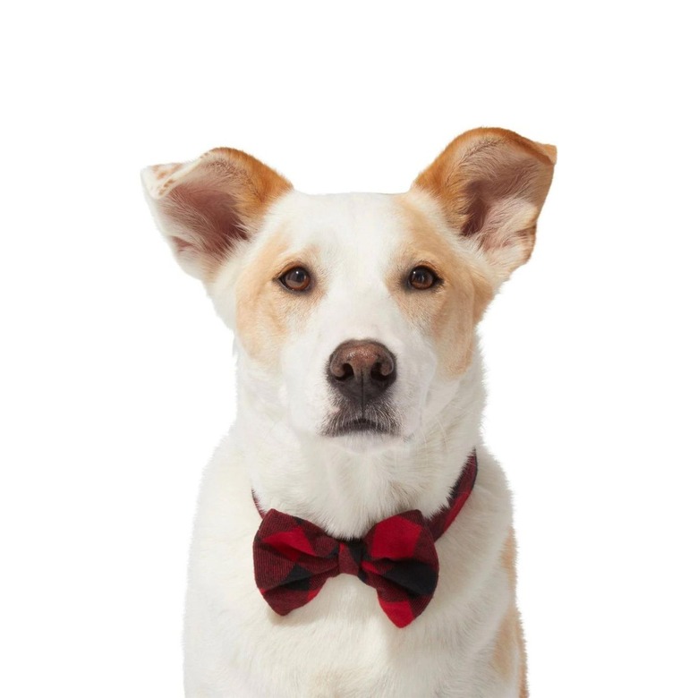 Frisco Red Buffalo Plaid Dog & Cat Bow Tie