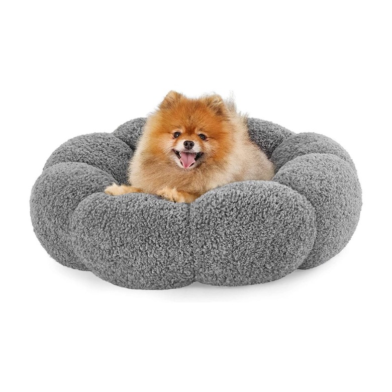 Lesure Calming Flower Bed