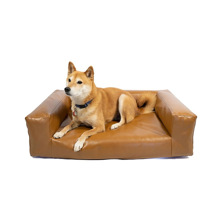 West Elm Leather Blvd Dog Bed