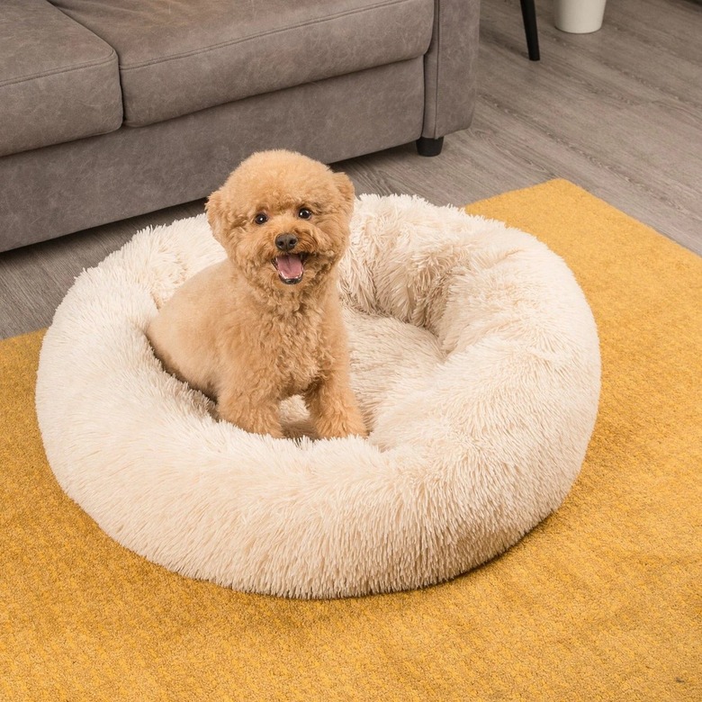 fluffy dog bed