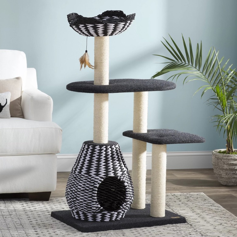 Archie & Oscar 49-Inch Dexter Cat Tree