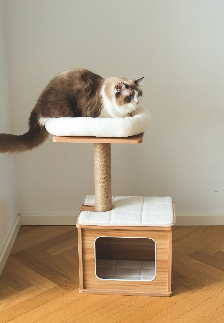 Tucker Murphy Pet 30-Inch Malachy Cat Tree