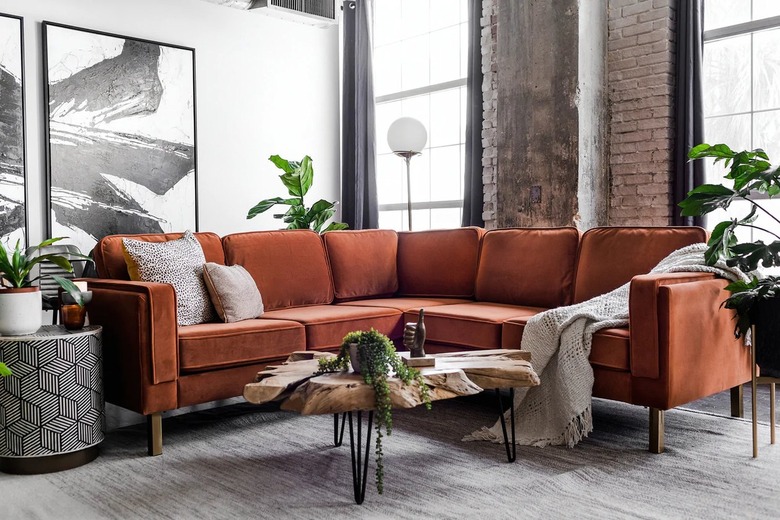 Albany Park where to buy a couch