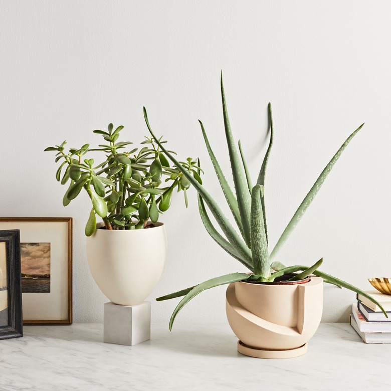 Best Indoor Planters Food52