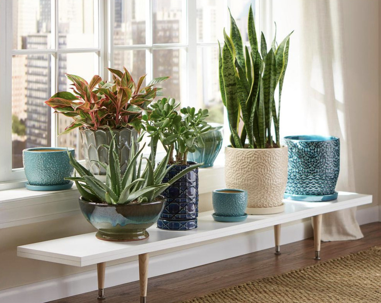Best Indoor Planters Home Depot