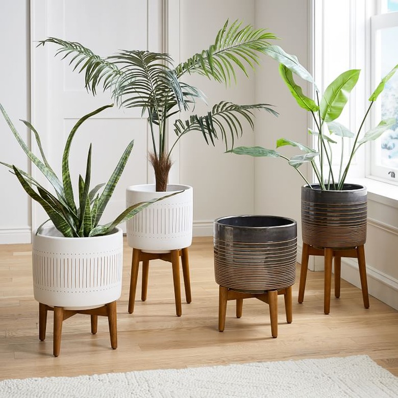 Best Indoor Planters Destinations west elm