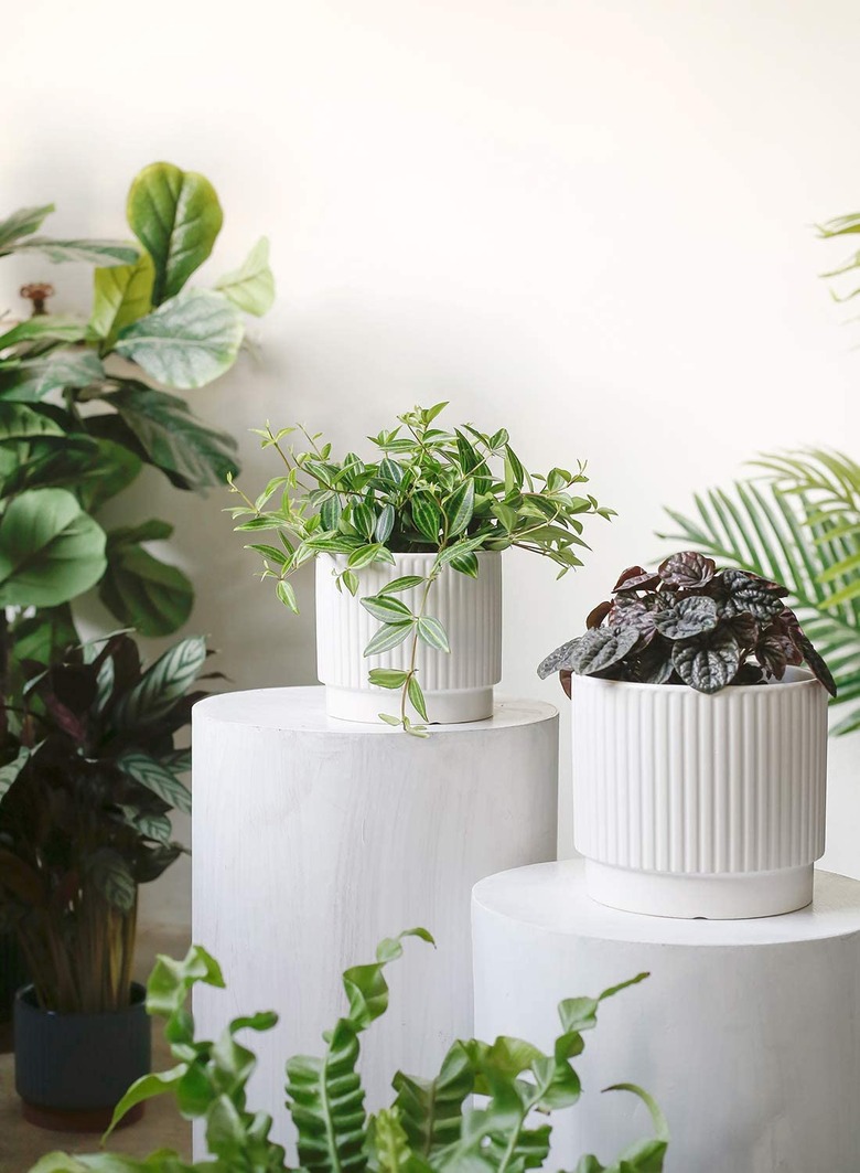 Best Indoor Planters amazon