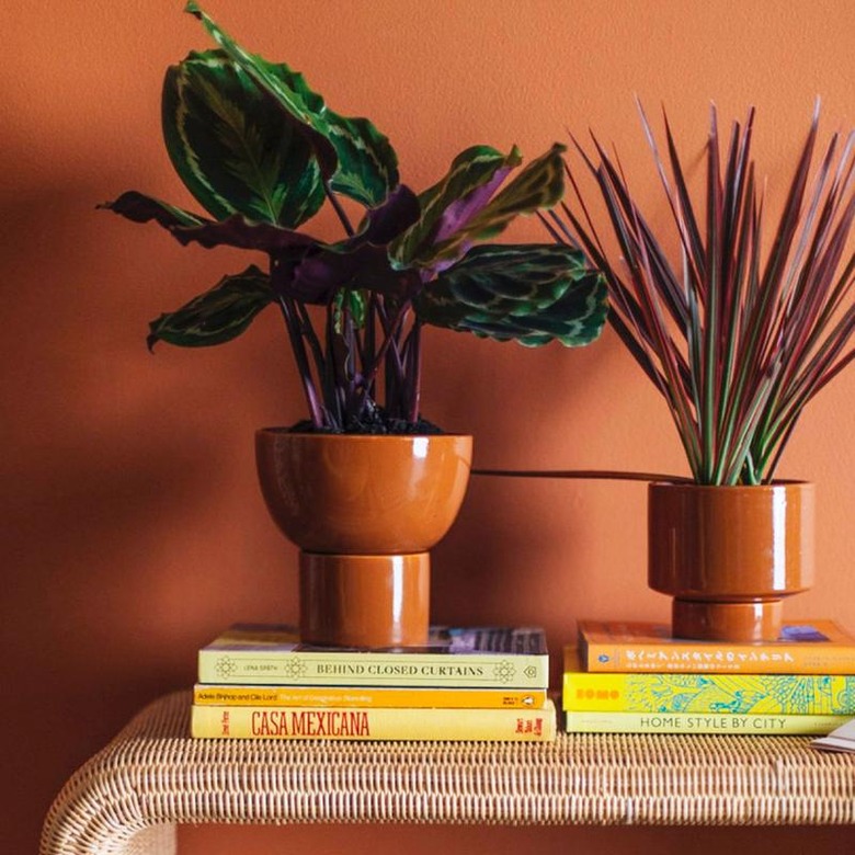 Best Indoor Planters jungalow