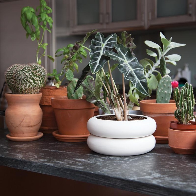 Best Indoor Planters 2modern