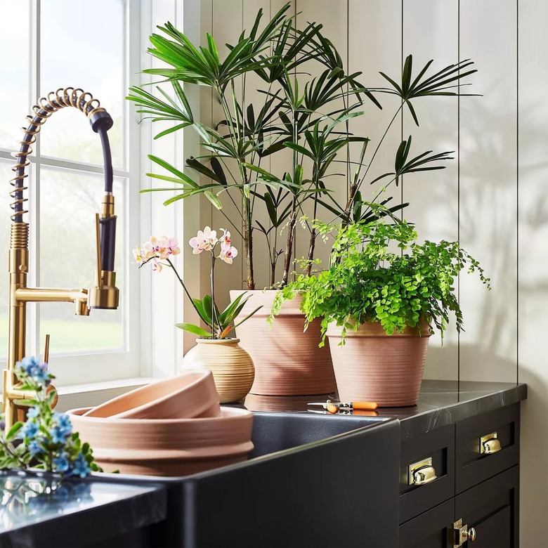 Best Indoor Planters target