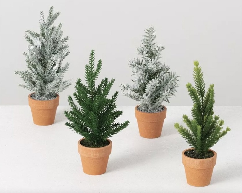 mini potted trees