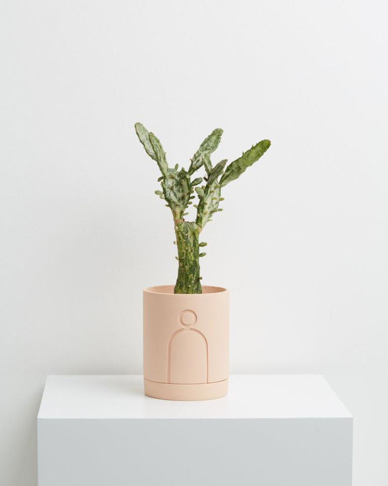 blush room decor with planter by Capra Designs