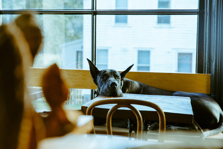 brushland eating house