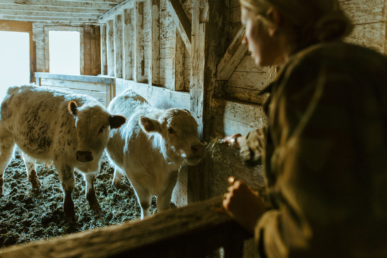brushland eating house