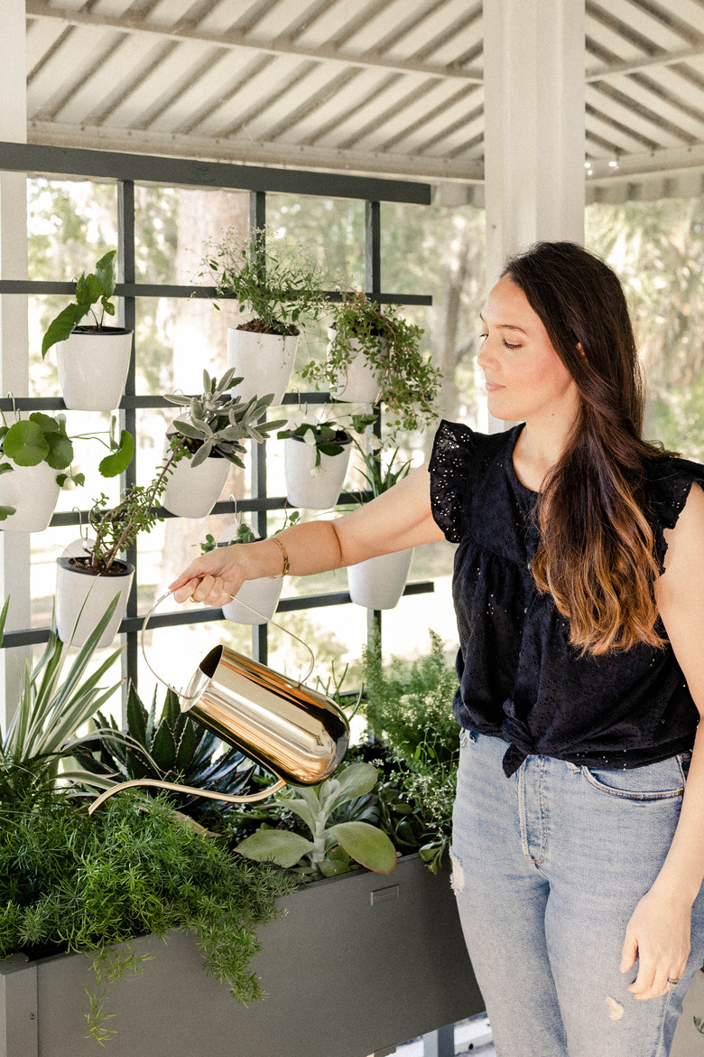 Woman watering plants in vertical garden with gold watering can