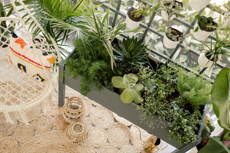 Overhead view of finished planter box full of plants