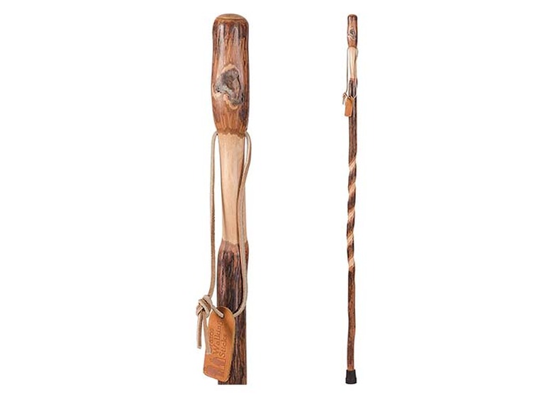Brazos Trekking Pole Hiking Stick