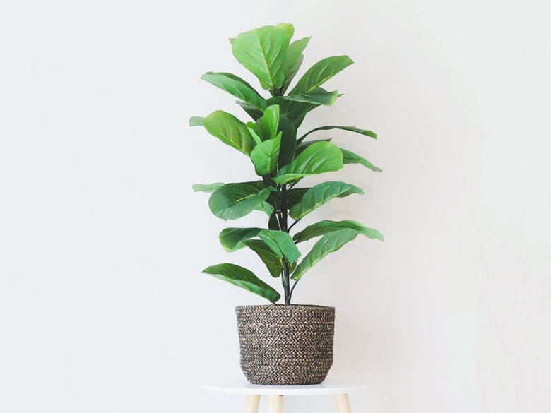 Fake Fiddle Leaf Fig Tree Floor Plant in Pot