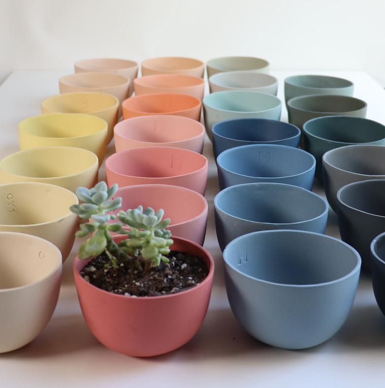 Small ceramic planters in multiple colors lined up together with one succulent.