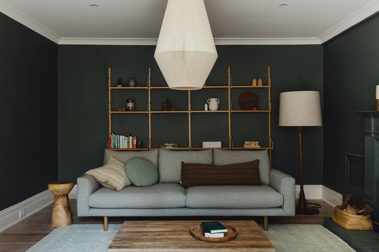 bookcase sits behind the sofa in the living room.