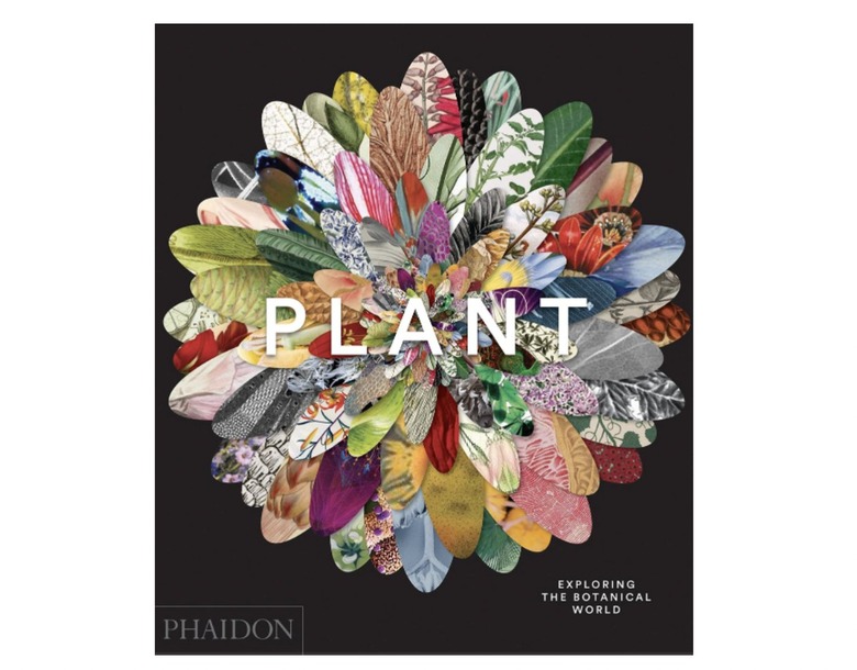 Plant: Exploring the Botanical World